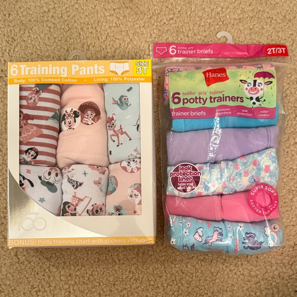 Disney Kids Training Pants - Hanes Potty Trainers